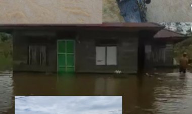 Akibat Curah Hujan Yang Tinggi, Ratusan Rumah Terendam Banjir Di Lamasi Timur Luwu