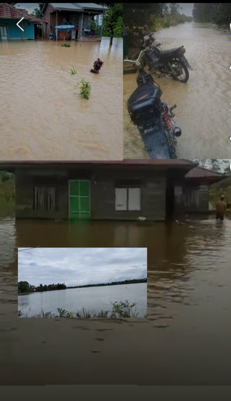 Akibat Curah Hujan Yang Tinggi, Ratusan Rumah Terendam Banjir Di Lamasi Timur Luwu