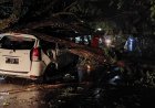 Tertimpa Pohon Tumbang Saat Berkendara, Warga Ini Gugat Walikota Palopo Dan BBPJN