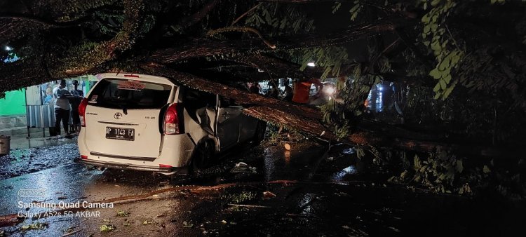 Tertimpa Pohon Tumbang Saat Berkendara, Warga Ini Gugat Walikota Palopo Dan BBPJN