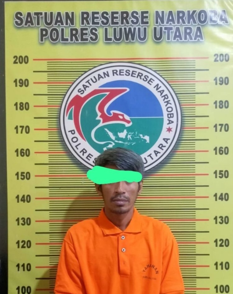 Satres Narkoba Polres Luwu Utara Menangkap Tiga Orang Pelaku Penyalahgunaan Narkoba