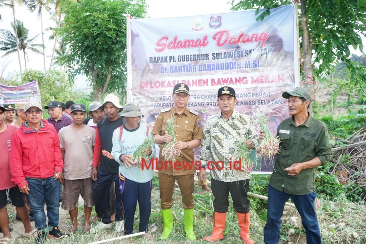 Kendalikan Inflasi, Pj Gubernur Sulsel Andalkan Bawang Marah Enrekang