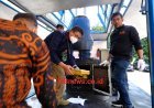 Polda Sulsel Gagalkan Peredaran 21 Kg Ganja, 98 Kg Sabu, 20 Ribu Butir Ekstasi