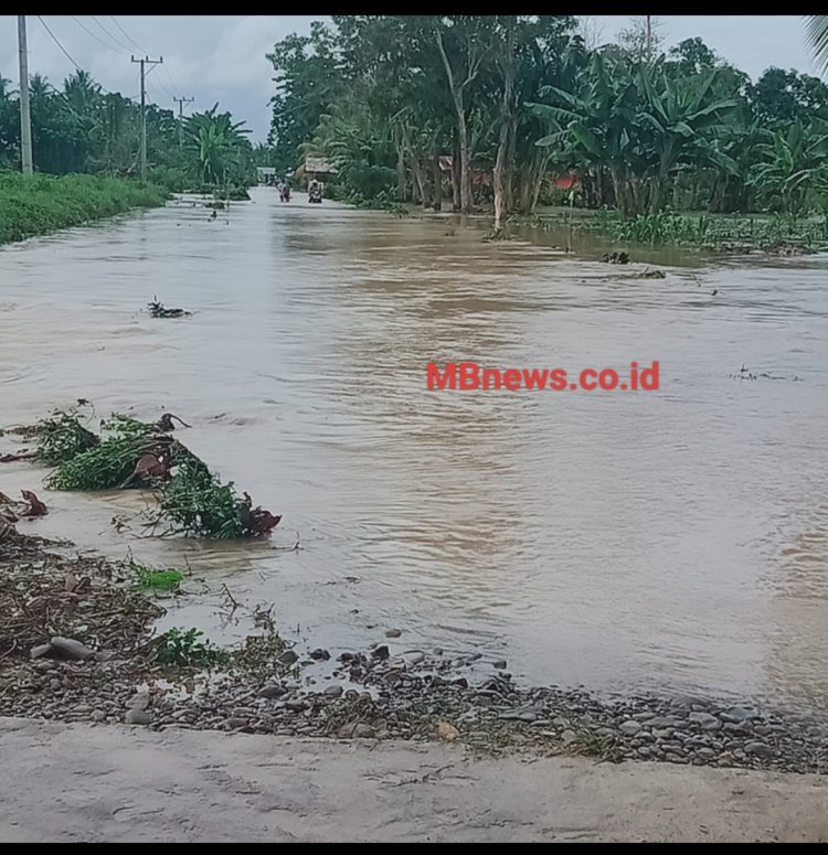 Desa Pompengan Tengah Luwu Terendam Banjir,Puluhan Hektar Sawah Terancam Gagal Panen