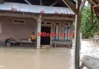 Desa Pompengan Tengah Luwu Kembali Terendam Banjir