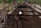 Video : Kondisi Jembatan Penghubung Desa Salujambu Luwu dan Desa Lawewe Luwu Utara