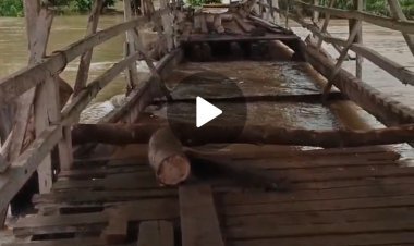 Video : Kondisi Jembatan Penghubung Desa Salujambu Luwu dan Desa Lawewe Luwu Utara