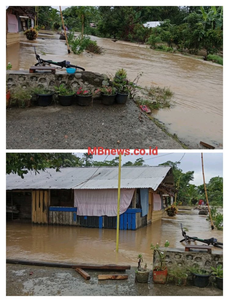 Akibat Curah Hujan Tinggi, Ratusan Rumah di Desa Pompengan Tengah Luwu Terendam Banjir